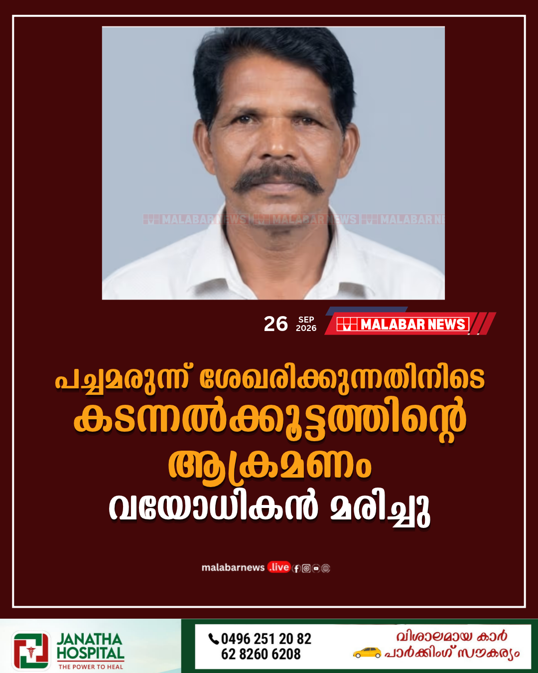പച്ചമരുന്ന് ശേഖരിക്കുന്നതിനിടെ കടന്നൽക്കൂട്ടത്തിന്റെ ആക്രമണം; വയോധികൻ മരിച്ചു