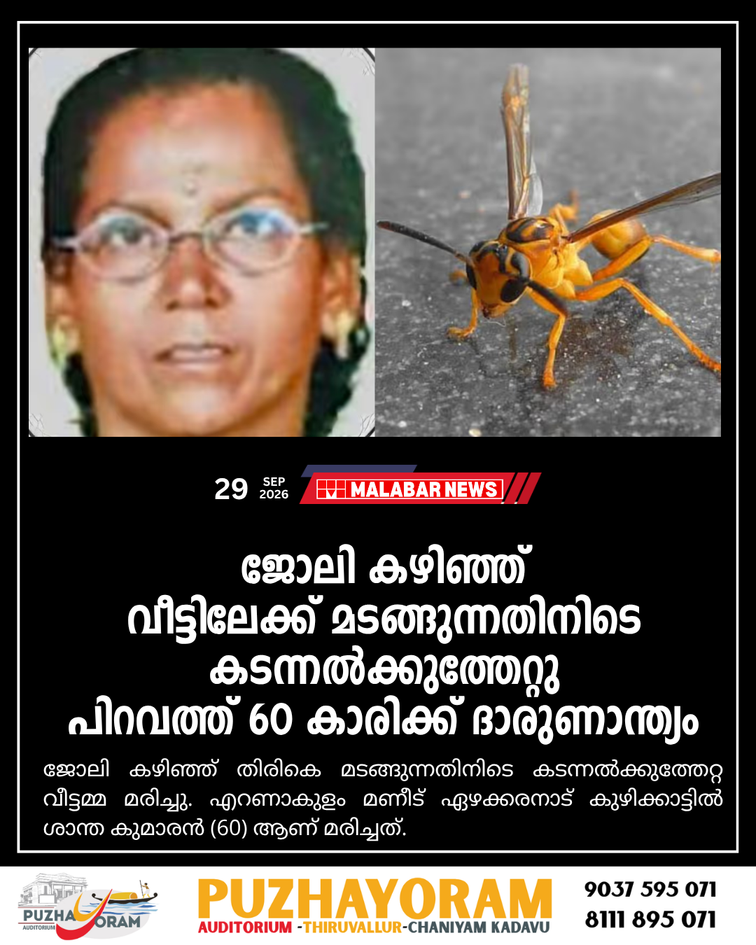 ജോലി കഴിഞ്ഞ് വീട്ടിലേക്ക് മടങ്ങുന്നതിനിടെ കടന്നൽക്കുത്തേറ്റു, പിറവത്ത് 60 കാരിക്ക് ദാരുണാന്ത്യം